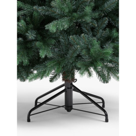 John Lewis Brunswick Blue Spruce Unlit Christmas Tree, 6ft - thumbnail 3