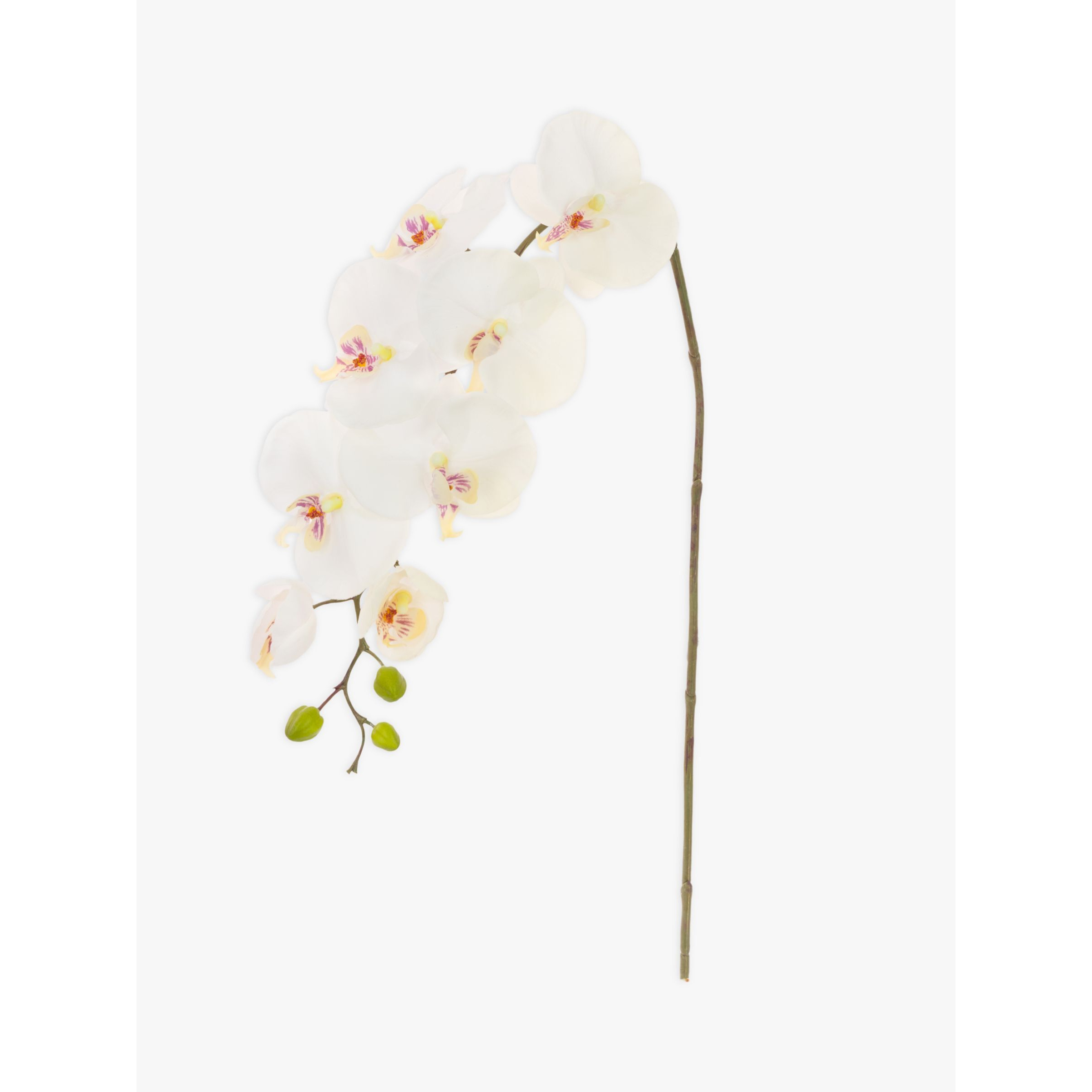 Floralsilk Artificial Phalaenopsis Orchid & Buds, White - image 1