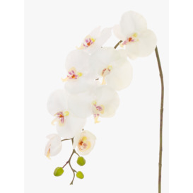 Floralsilk Artificial Phalaenopsis Orchid & Buds, White - thumbnail 2