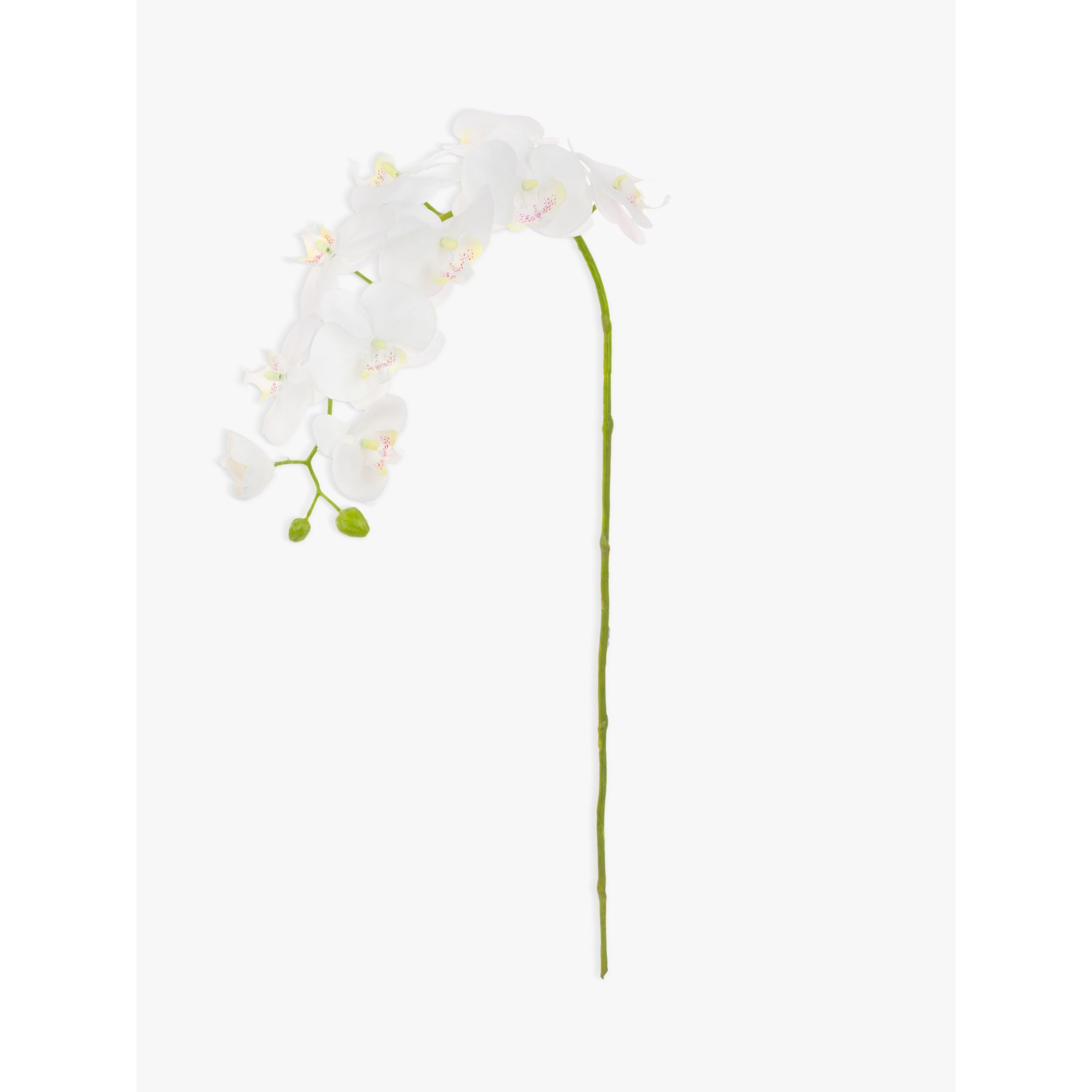 Floralsilk Artificial Phalaenopsis Orchid, White - image 1