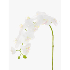 Floralsilk Artificial Phalaenopsis Orchid, White - thumbnail 2
