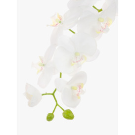 Floralsilk Artificial Phalaenopsis Orchid, White - thumbnail 3