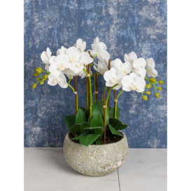 Floralsilk Artificial White Orchid in Clay Pot - thumbnail 3
