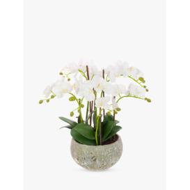 Floralsilk Artificial White Orchid in Clay Pot - thumbnail 1