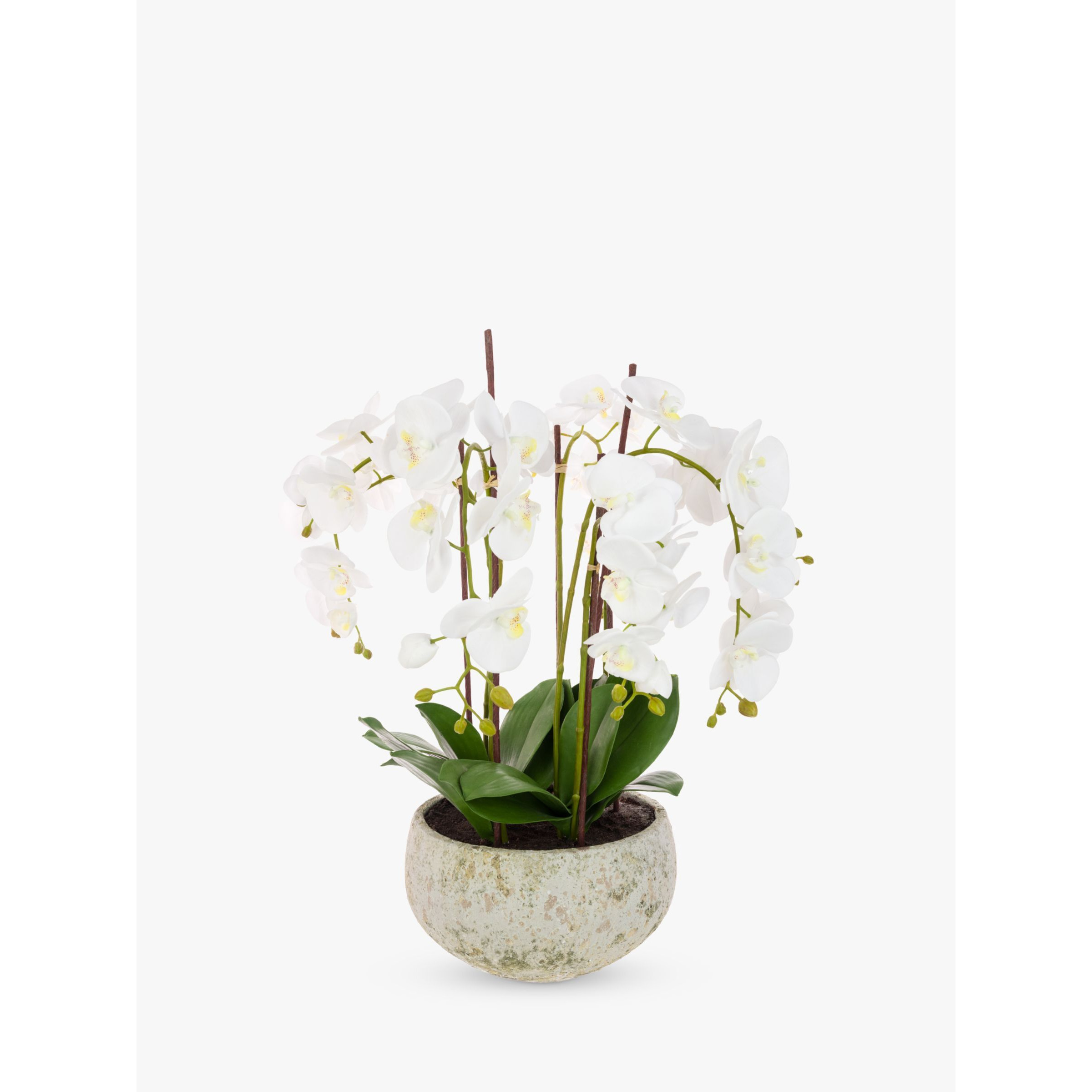 Floralsilk Artificial White Orchid in Clay Pot - image 1