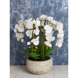 Floralsilk Artificial White Orchid in Clay Pot - thumbnail 3