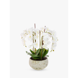 Floralsilk Artificial White Orchid in Clay Pot