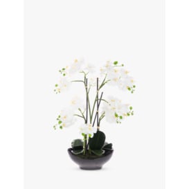 Floralsilk Artificial White Orchid in Black Pot - thumbnail 1