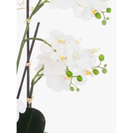 Floralsilk Artificial White Orchid in Black Pot - thumbnail 2