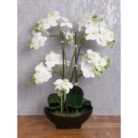 Floralsilk Artificial White Orchid in Black Pot - thumbnail 3