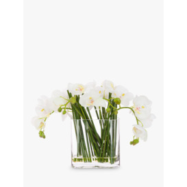 Floralsilk Artificial Contemporary Phalaenopsis Orchid in Glass Vase - thumbnail 1