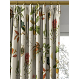 Sanderson Paradesia Made to Measure Curtains or Roman Blind, Orange - thumbnail 2