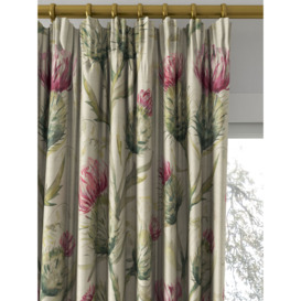 Voyage Thistle Glen Made to Measure Curtains or Roman Blind, Summer - thumbnail 2