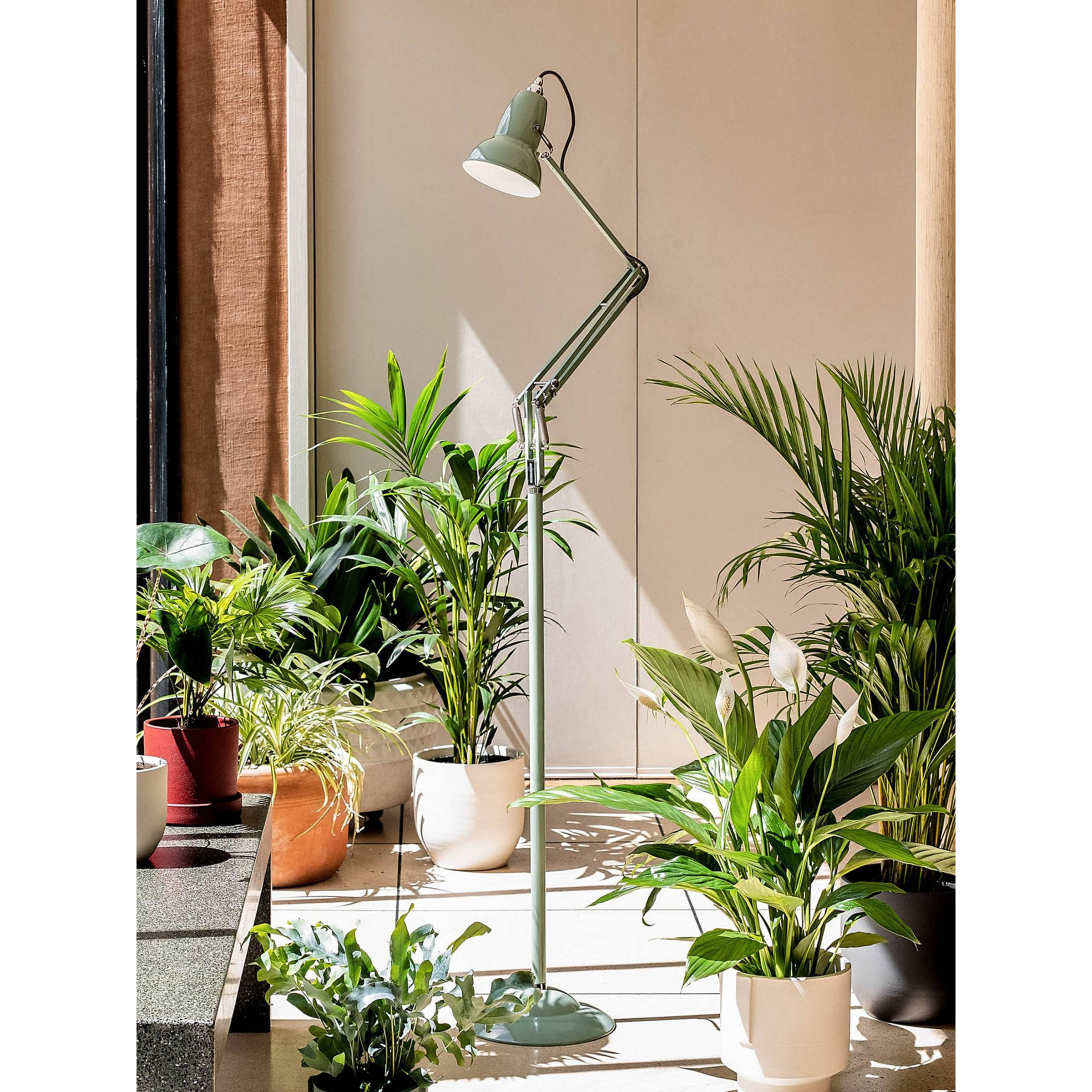 Anglepoise + National Trust 1227 Floor Lamp, Sage Green - image 1