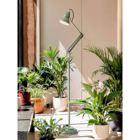 Anglepoise + National Trust 1227 Floor Lamp, Sage Green