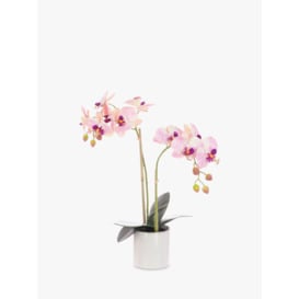 Floralsilk Artificial Orchid in Cylinder Vase, Pink - thumbnail 1