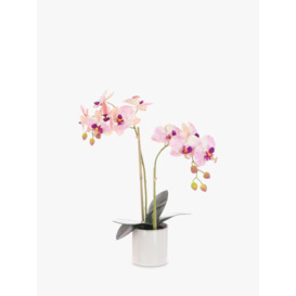 Floralsilk Artificial Orchid in Cylinder Vase, Pink