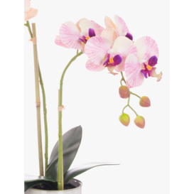 Floralsilk Artificial Orchid in Cylinder Vase, Pink - thumbnail 2
