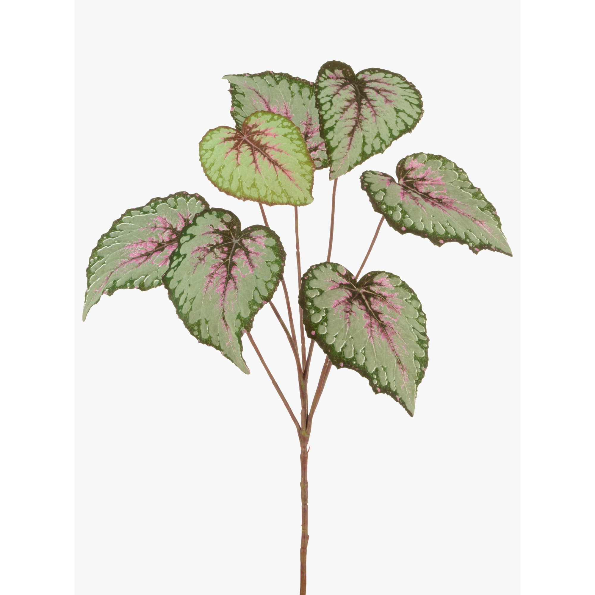 Floralsilk Artificial Begonia Leaf Spray - image 1