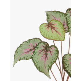 Floralsilk Artificial Begonia Leaf Spray - thumbnail 2