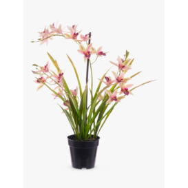 Floralsilk Artificial Orchid in Black Pot