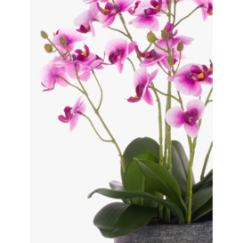 Floralsilk Artificial Orchid, Deep Pink - thumbnail 2