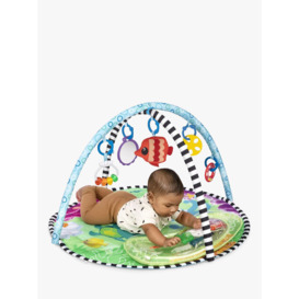 Baby Einstein Explore Water Activity Gym - thumbnail 4