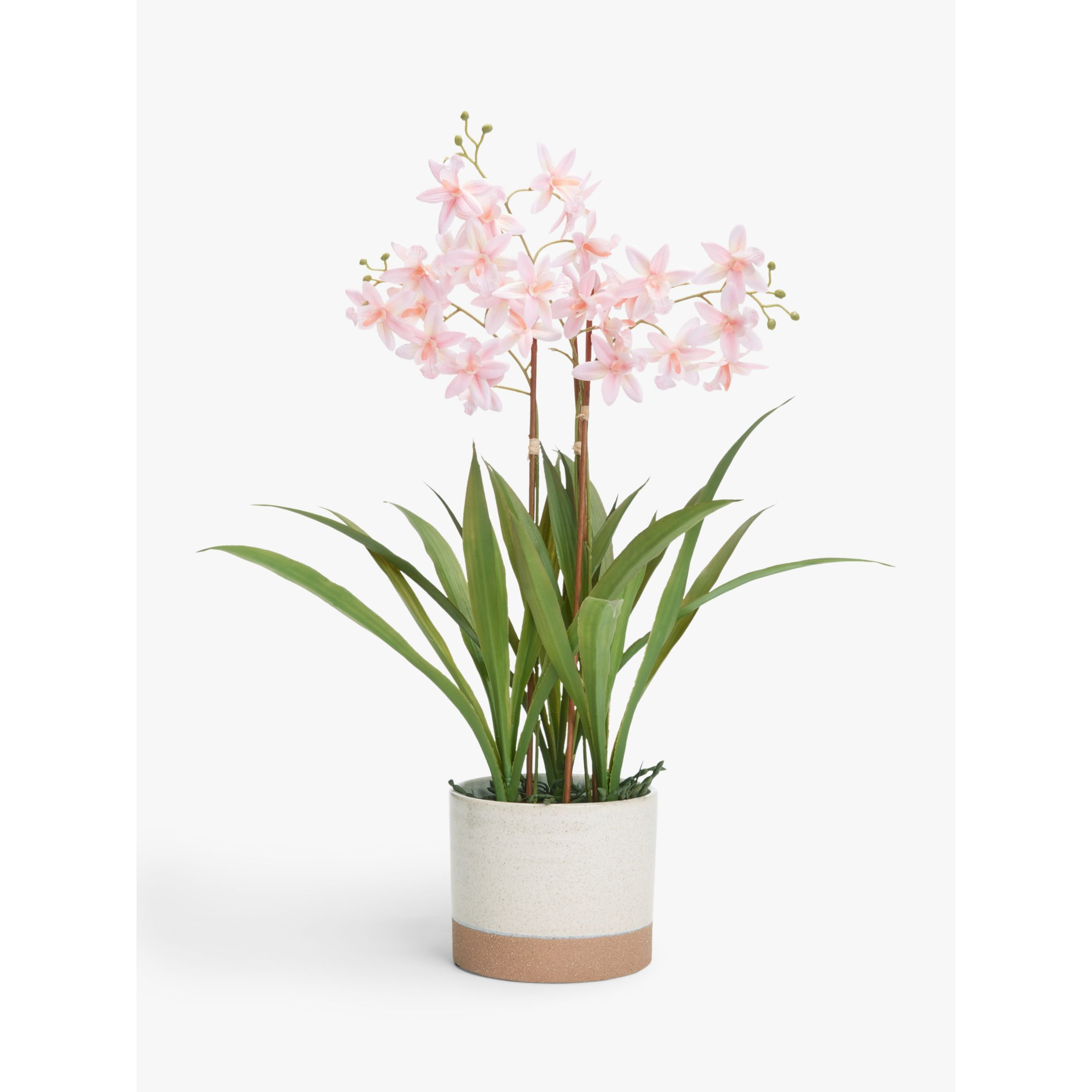 John Lewis Artificial Mini Orchid in Ceramic Pot - image 1