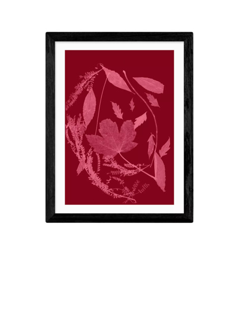 EAST END PRINTS Herald Black 'Red Foliage' Framed Print - image 1