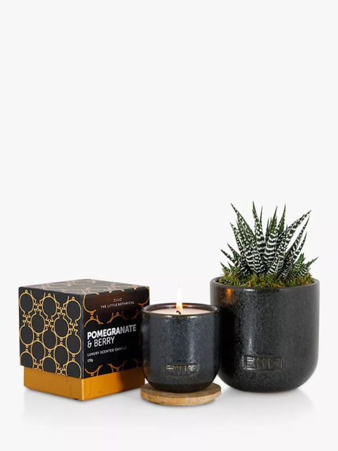 The Little Botanical Back to Black Candle Gift Set - image 1
