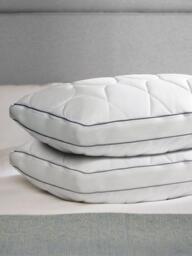 Sealy Airflow Memory Foam Standard Pillow Pair, Medium/Firm