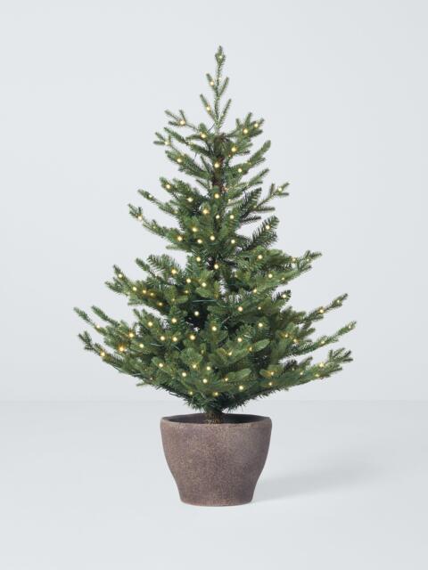 John Lewis Cotswold Potted Pre-lit Christmas Tree, 4ft