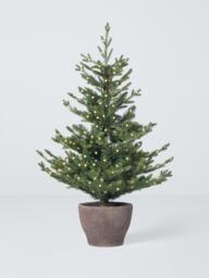 John Lewis Cotswold Potted Pre-lit Christmas Tree, 4ft - thumbnail 1