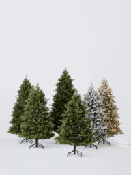 John Lewis Brunswick Spruce Unlit Christmas Tree - thumbnail 4