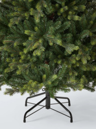 John Lewis Brunswick Spruce Unlit Christmas Tree - thumbnail 3