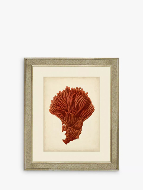 Brookpace Lascelles 'Red Coral I' Framed Print & Mount, 60 x 50cm, Red