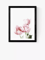 EAST END PRINTS Sisi and Seb 'Tulips' Framed Print - thumbnail 1