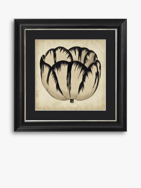 Brookpace Lascelles 'Pop Floral IV' Framed Print, 49 x 49cm, Black/Cream - image 1