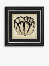 Brookpace Lascelles 'Pop Floral IV' Framed Print, 49 x 49cm, Black/Cream