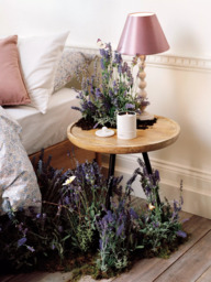 Jo Malone London Lilac Lavender & Lovage Ceramic Candle, 300g - thumbnail 5