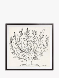 John Lewis Henri Matisse 'The Plain Tree 1951' Framed Print & Mount, 102 x 102cm - thumbnail 1