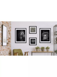 Brookpace Lascelles Lion Framed Print & Mount, 81 x 65.5cm, Black/White - thumbnail 2