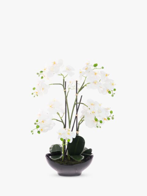 Floralsilk Artificial White Orchid in Black Pot - image 1