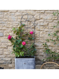 Ivyline Climbing Plant Metal Cylinder Garden Wall Trellis, Zinc - thumbnail 2