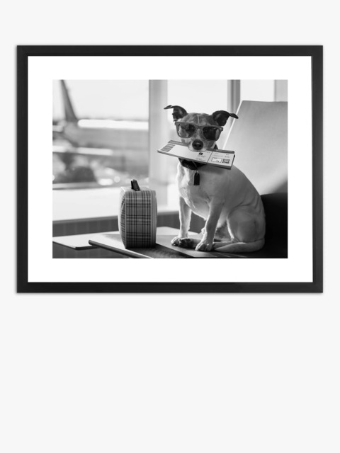 Brookpace Lascelles 'Terrier Travel' Framed Print & Mount, 45.5 x 55.5, Black/White - image 1