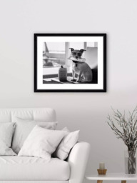 Brookpace Lascelles 'Terrier Travel' Framed Print & Mount, 45.5 x 55.5, Black/White - thumbnail 2