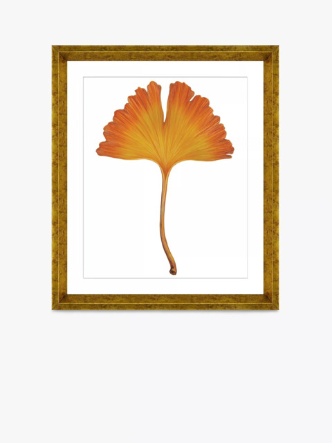 Brookpace Lascelles 'Ginkgo Leaf 1' Framed Print & Mount, 56 x 46cm, Orange - image 1