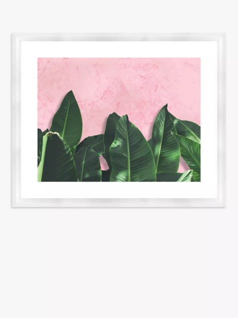 Brookpace Lascelles 'Banana Leaves' Framed Print & Mount, 46 x 56cm, Pink/Green - image 1