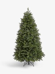 John Lewis Brunswick Spruce Unlit Christmas Tree, 7ft - thumbnail 1
