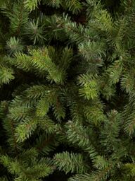 John Lewis Brunswick Spruce Unlit Christmas Tree, 7ft - thumbnail 2